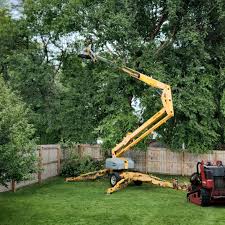 Best Tree and Shrub Care  in Hammond, IN